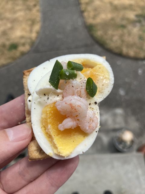 A cracker topped with egg, shrimp, and herbs, held up outdoors